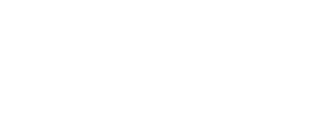 PEV Motionz