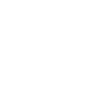 FlightFins