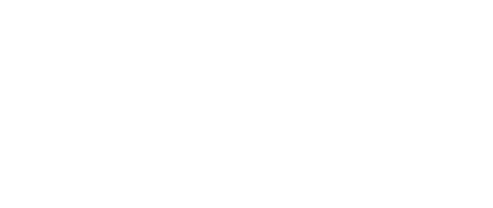 Kingsong