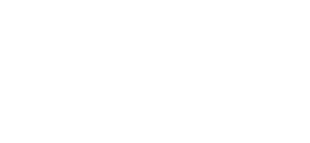 Pidzoom